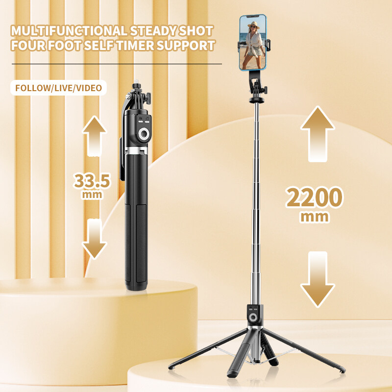 Perche à Selfie P220 sans fil, - Action Camera Selfie Stick Invisible avis et prix